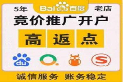 竞价SEM案例分享：快速提高网站流量技巧